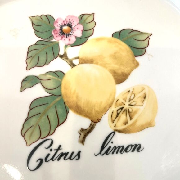 Villeroy & Boch French Garden Charm Citrus 10" Serving Bowl Scalloped Edge - Picture 5 of 5